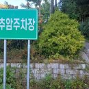 축령산금빛휴양타운 | 2025년 10월 장성여행2(축령산편백숲, 백련동편백농원, 카페 남댕이숲)