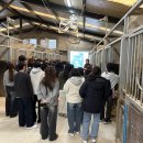 대전승마장 이미지