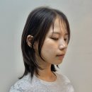 보그헤어 오목교 안양천로점 이미지