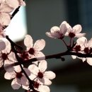 컴바로 이미지