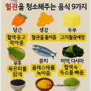 혈관 청소하주는 음식9가지 이미지