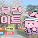 핏앤피트니스 기업도시점 이미지