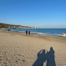여유 있는 휴일엔 경주 외곽 구경하기, 경주 문무대왕릉 바닷가 산책 🌊