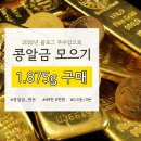 반도 | 블로그 부업 수익으로 콩알금 모으기(반돈 구매 후기)