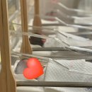 주) 아인메디칼 | 인천 한림산후조리원 13박14일 솔직후기