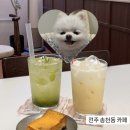 pet107너 1812 | 전주 송천동 디저트 카페 l 구움과자 음료 맛집 카페에드모어