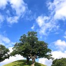 효성전자 이미지