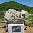 곰배령식당 이미지