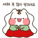 펫동물병원 이미지