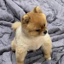 또와민박 이미지