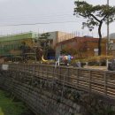 돼지보러오면돼지 이미지