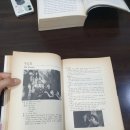 포항은 이상무
