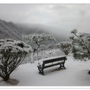 지지골 이미지