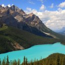 알파플러스어학원 이미지