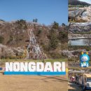 충북 진천 가볼만한곳 생거진천 농다리 축제 벚꽃 명소 백곡저수지 종박물관 코스 추천
