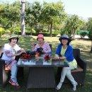 호텔카라 이미지