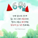 행복문구