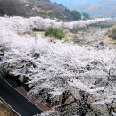 고향산천 이미지