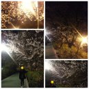 블랙야크 맞은편 횡단보도 이미지
