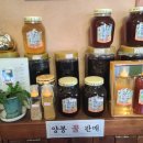 은광통나무집 이미지