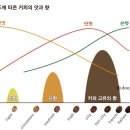 더 로스팅 이미지