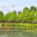 대청호 자연수변공원 이미지