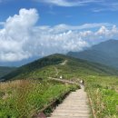 노고단-3 | 2024년 8월 지리산 노고단 등산 후기