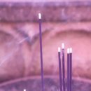 The 산수유 이미지