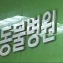 이상동물병원 이미지