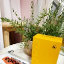 코코&꿀돼지 이미지