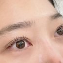 양나나