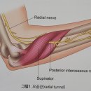 연세신통의원 이미지