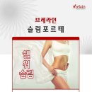 브레라인코리아 이미지