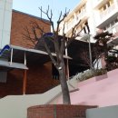 동평여자중학교 이미지