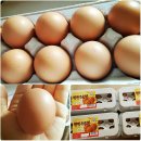 한방농장 이미지