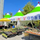 "무료로 꽃구경 하러 오세요" 코스모스·국화·백일홍·핑크뮬리까지 다양한 가을꽃 명소 이미지