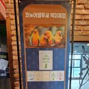 마귀할멈 이벤트 | 엉클 브룩스쥬 실내동물원 솔직한 체험 후기입니다.