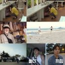 낭만도시 스포티비뉴스