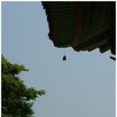 영암사 - 1608 | 영암사