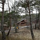 소선암자연휴양림 이미지