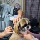 에덴동물병원 이미지