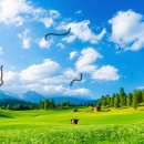 젊은눈안과의원 이미지