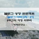 안동상조이벤트 | 블로그 다마고치 2기 6주간의 도전을 마무리하면서(맛멋연구소)