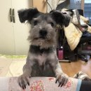 알록달록 오색 과일모찌 만들기 | 2025년 6월 유연하지 못해도 동행하는 이들과 함께