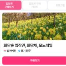 사계절 이미지