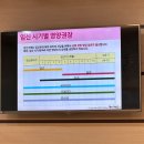묘도수퍼(복지도우미) | 임신일기7) 32주~37주차 기록