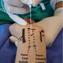 안아픈세상의원 이미지