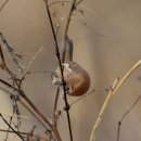 여주-1008 이미지