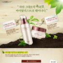 샾테라피 이미지