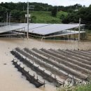 금강 태양광 이미지